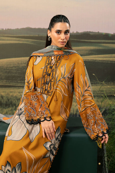 Maria b M basics Winter 2025