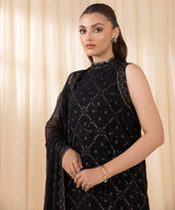 3 Piece - Embroidered Chiffon Suit by Sapphire