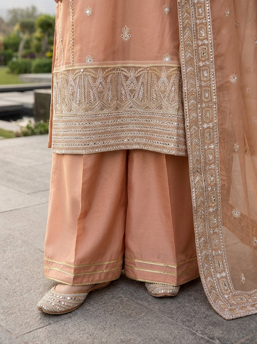 Afroze Luxury Organza Collection