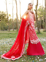Bin Ilyas Embroidered Lawn Collection