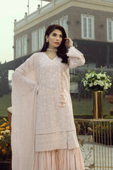Lakhany 3pc Embroidered Suit