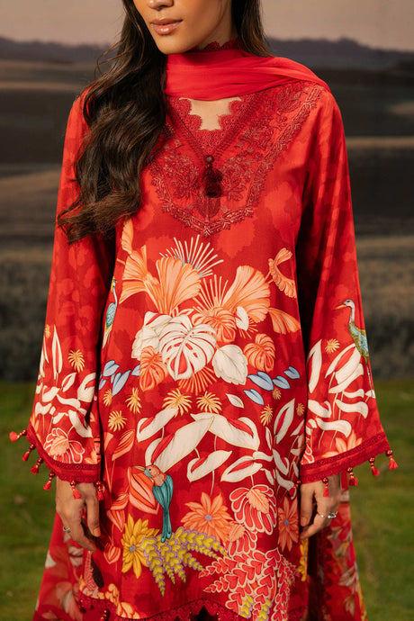 Maria b M basics Winter 2025
