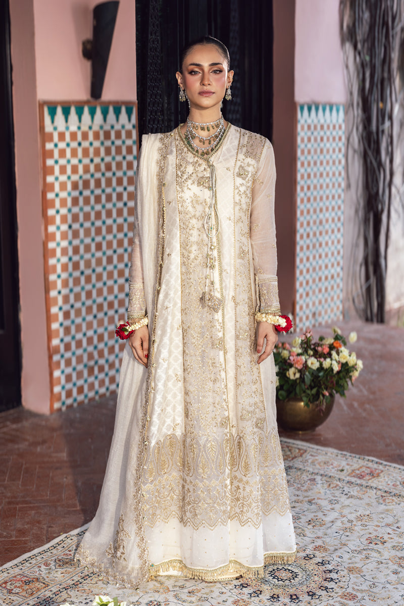 Rang Rasiya Wedding Formal Collection