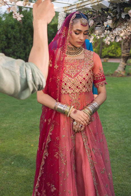 Rang Rasiya Wedding Formal Collection