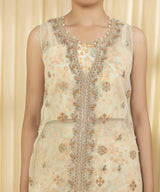 Sapphire  Embroidered Organza Suit