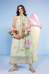 M.Basics - Spring Summer Lawn 26