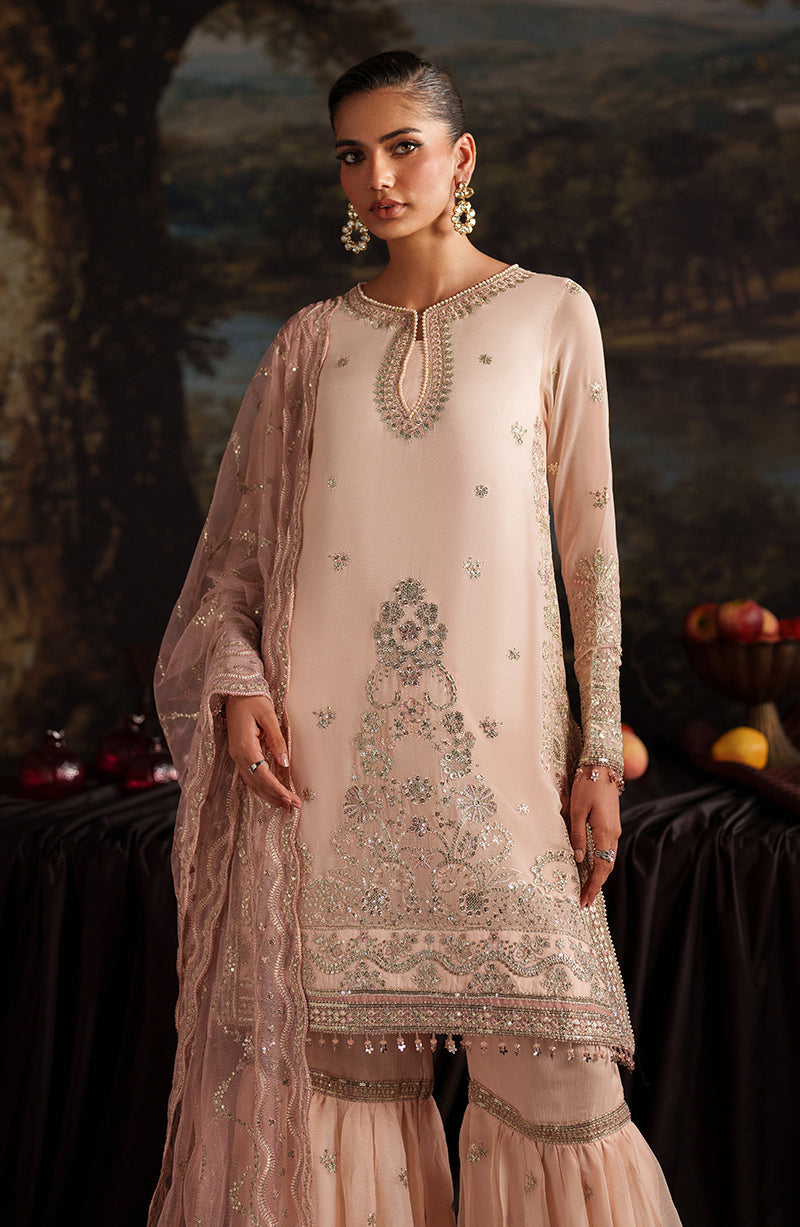 Zarif Premium Chiffon Collection