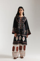 Ethnic Embroidered 2pc Suit