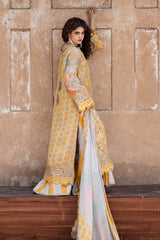 Vasal Embroidered Chiffon Suit By Charizma