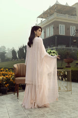 Lakhany 3pc Embroidered Suit