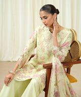 Sapphire Embroidered Chiffon Suit