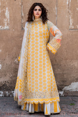 Vasal Embroidered Chiffon Suit By Charizma
