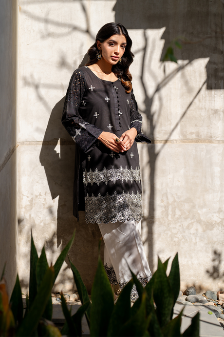 2 PC Embroidered Iznik Lawn  Collection
