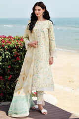 Aurea By Farasha Luxury Collection