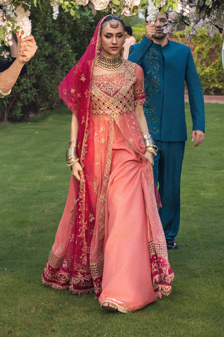 Rang Rasiya Wedding Formal Collection