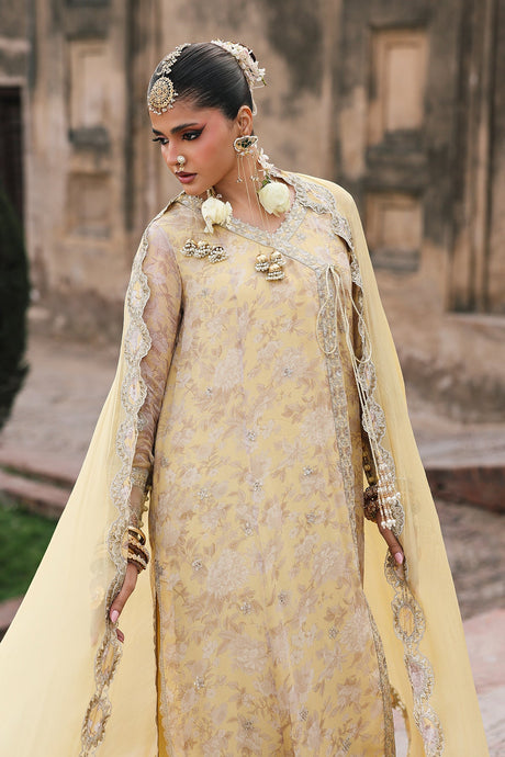 Vasal by Charizma Luxury Collection