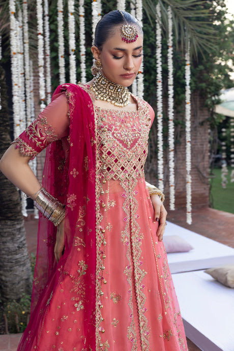 Rang Rasiya Wedding Formal Collection