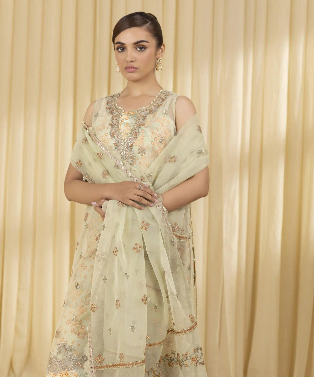 Sapphire  Embroidered Organza Suit