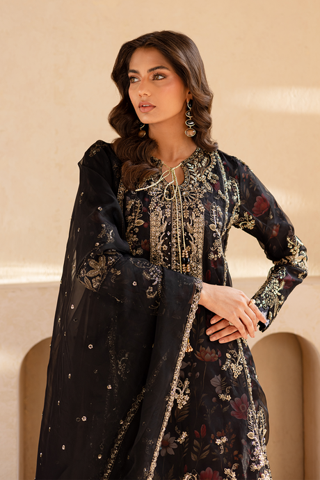 Noore by Emaan Adeel Premium Collection