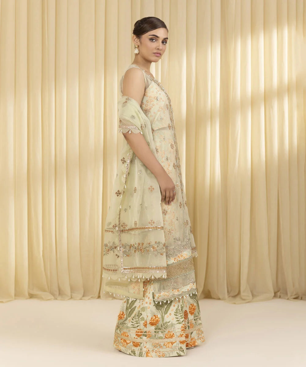 Sapphire  Embroidered Organza Suit