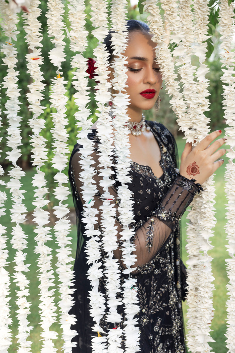 Rang Rasiya Wedding Formal Collection