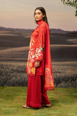 Maria b M basics Winter 2025