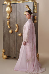 Nouvelle By Emaan Adeel Premium Collection
