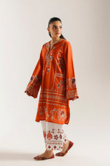 Ethnic Embroidered 2pc Suit