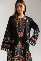 Ethnic Embroidered 2pc Suit
