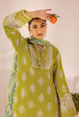 Lawn Chikankari Collection By Adan's Libas