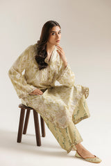 Ethnic Embroidered 2pc Suit