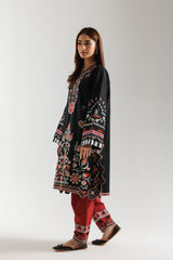 Ethnic Embroidered 2pc Suit