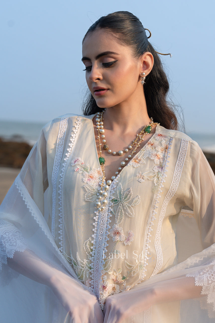 Pearl Organza Embroidered Suit