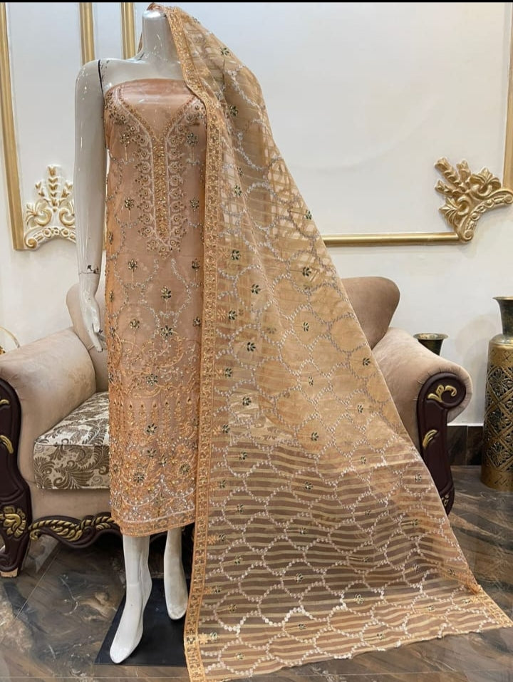 Pakistani Embroidered Party wear Ready To Ship