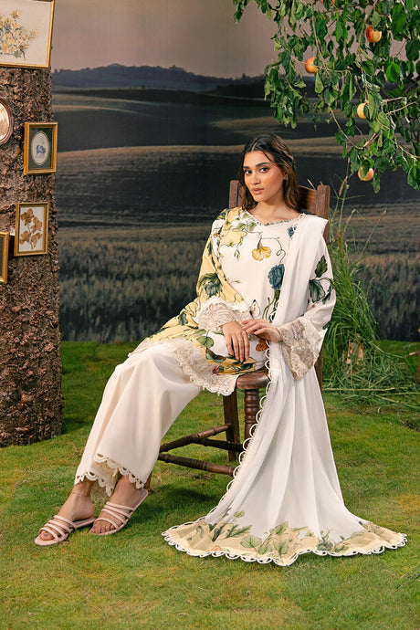 Maria b M basics Winter 2025
