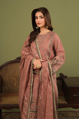 Luxe By Alizeh Raw Silk Suit