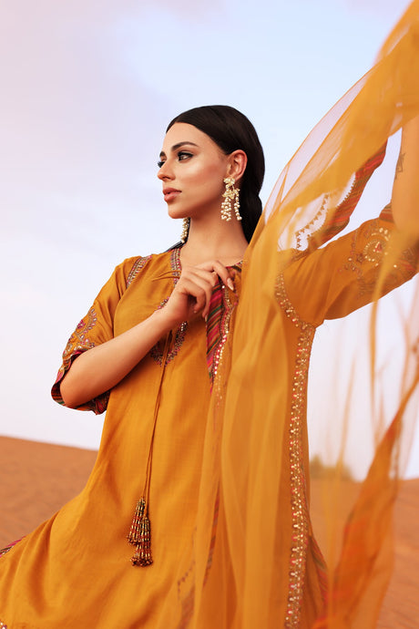 Charizma Luxury Embroidered Suit