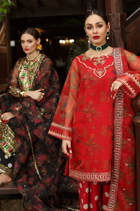 Charizma Embroidered Organza Suit