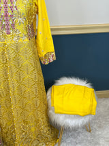 Pakistani Embroidered Party wear  Ready To Ship