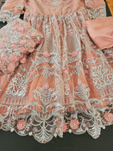 Pakistani Stitched Embroidery Party Wear Dresses Ready To Ship