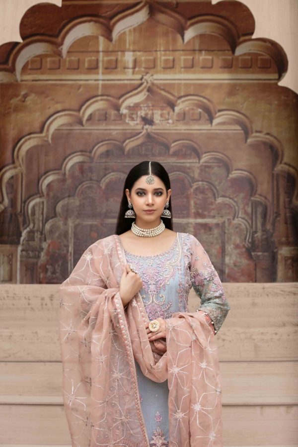 Tawakkal Chiffon Embroidered Collection 2021 -100% Original Guaranteed