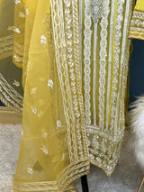 Pakistani Embroidered Party wear  Ready To Ship