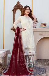 New Fancy Chiffon Collection 2022