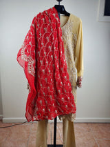 Pakistani Stitched Embroidery Party Suit Ready To Ship