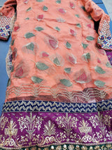 Pakistani Stitched Embroidery Party Wear Dresses Ready To Ship