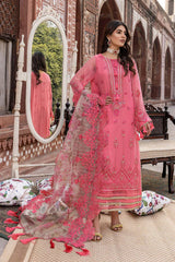 Allure Chiffon Embroidered Collection