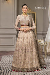 Alizeh Embroidered Chiffon Collection100% Original