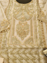 Pakistani Stitched Embroidery Party Wear Dresses Ready To Ship