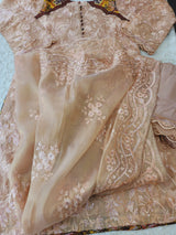 Pakistani Stitched Embroidery Party Wear Dresses Ready To Ship