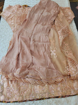 Pakistani Stitched Embroidery Party Wear Dresses Ready To Ship